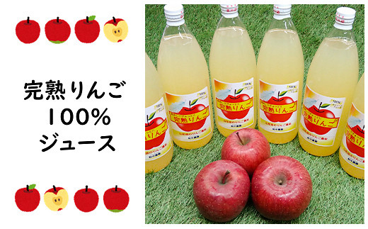 山形県南陽市の完熟りんご100％ジュース 6本セット 『船中