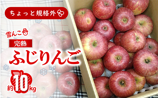 〈訳あり ちょっと規格外〉 雪んこ 完熟ふじりんご 約10kg