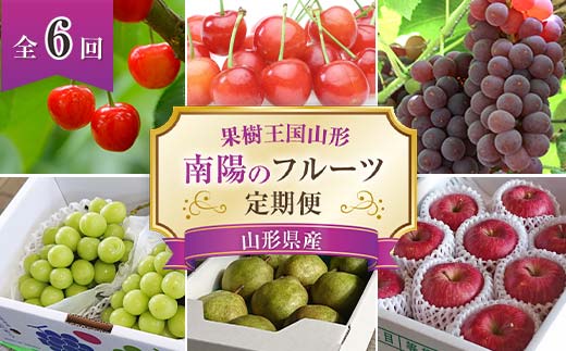【令和7年産先行予約】 《定期便6回》 果樹王国山形 南陽の
