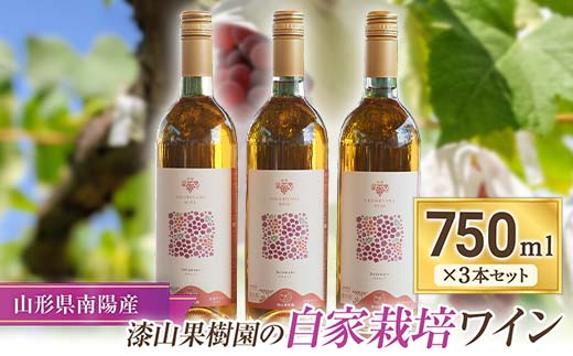 果樹園生まれの 「漆山ワイン (デラウェア)」 750ml×3本セッ