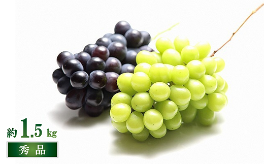 【令和8年産先行予約】 シャインマスカット ＆ ピオーネ 計