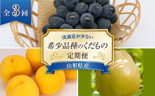 [令和6年産先行予約] [定期便3回] 流通量が少ない"希少品種の" くだもの定期便 『南陽中央青果市場』 山形県 南陽市 [1407]