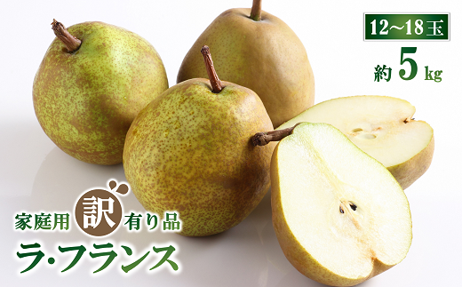 【令和7年産先行予約】 〈訳あり品 家庭用〉 ラ・フランス