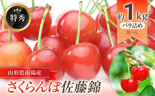 【令和7年産先行予約】 さくらんぼ 「佐藤錦」 約1kg (約500g