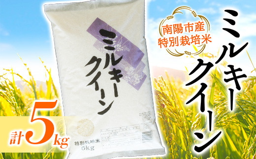 【金賞受賞農家】 令和7年産 特別栽培米 ミルキークイーン