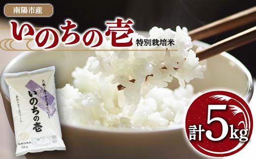 【金賞受賞農家】 令和7年産 特別栽培米 いのちの壱 5kg 『