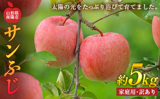 【令和7年産先行予約】 〈訳あり品 家庭用〉 りんご 「サン