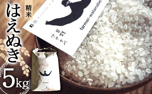令和7年産 はえぬき (精米) 5kg 『最上園』 米 白米 ご飯 農家