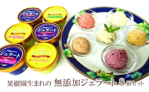 果樹園生まれの 無添加ジェラート 8個セット 『漆山果樹園