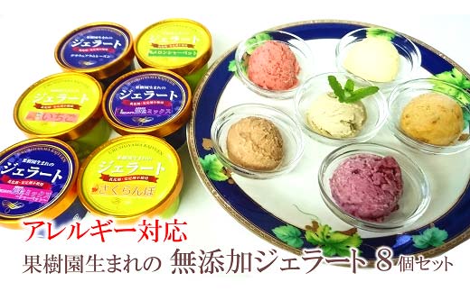 【アレルギー対応】 果樹園生まれの 無添加ジェラート 8個