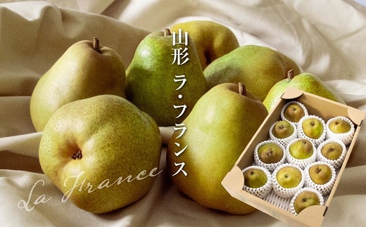 【令和7年産先行予約】 ラ・フランス 約3kg (8～12玉 秀 L～2L)