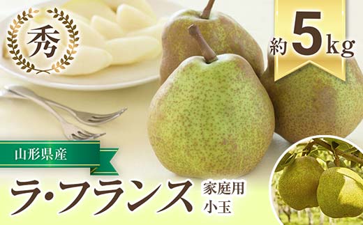 【令和8年産先行予約】 〈家庭用〉 小玉 ラ・フランス 約5kg