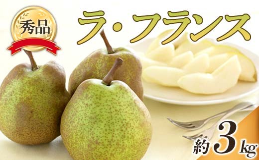 【令和8年産先行予約】 ラ・フランス 約3kg (6～14玉 秀) 《令