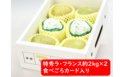 【令和7年産先行予約】 ラ・フランス 計約4kg (12～14玉 特秀