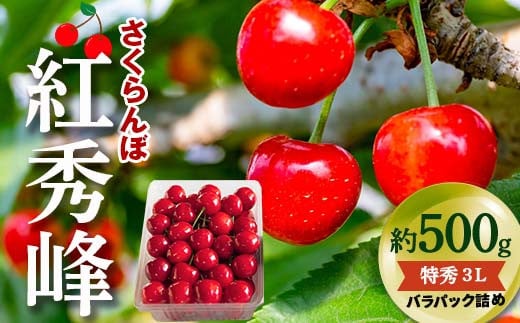 【令和7年産先行予約】 さくらんぼ 「紅秀峰」 約500g (特秀