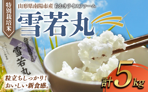 【金賞受賞農家】 令和7年産 特別栽培米 雪若丸 5kg 『あお