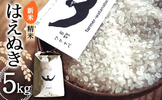 【令和7年産 新米 先行予約】 はえぬき (精米) 5kg 《令和7年1