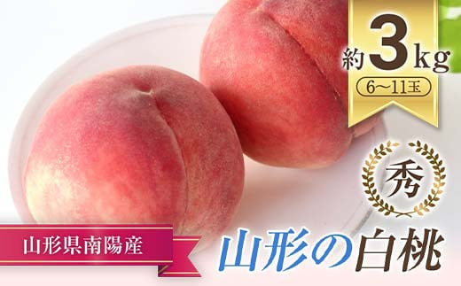 [令和7年産先行予約] もも「美郷・あかつき・まどか 等」約3kg (6〜11玉) [令和7年8月上旬〜発送] 『生産者 高橋 賢一』 [1981]