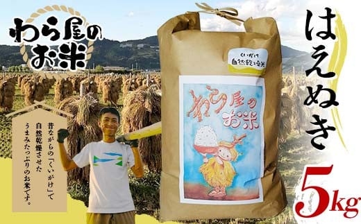 【わら屋のお米】 令和7年産 特別栽培米 はえぬき 5kg 『お