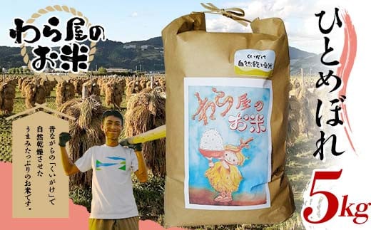 【わら屋のお米】 令和7年産 特別栽培米 ひとめぼれ 5kg 『