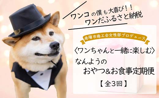 《定期便3回》 南陽市商工会女性部プロデュース 〈ワンち