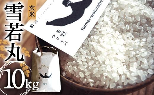令和7年産 特別栽培米 雪若丸 (玄米) 10kg 『最上園』 米 ご飯
