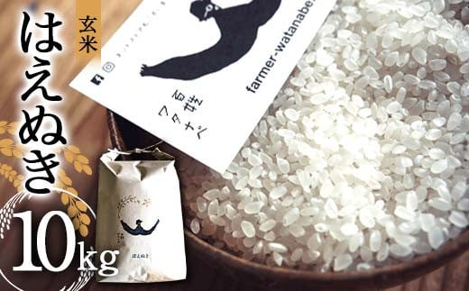 令和7年産 はえぬき (玄米) 10kg 『最上園』 米 ご飯 農家直送