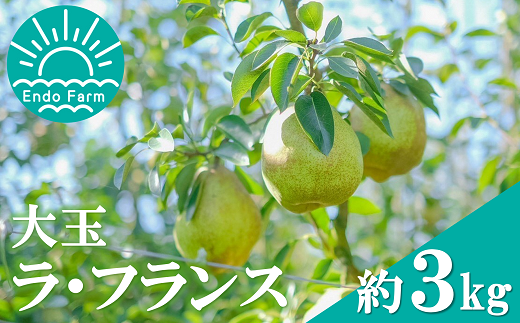 【令和7年産先行予約】 【ネオニコフリー】 大玉 ラ・フラ