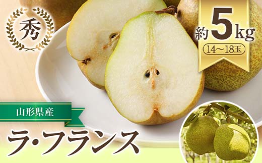 【令和7年産先行予約】 JA ラ・フランス 約5kg (14～18玉 秀)