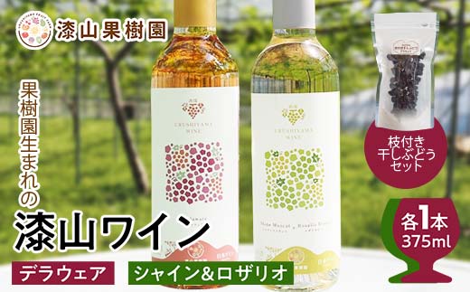 果樹園生まれの 漆山果樹園ワイン 「 漆山ワイン (デラウェ