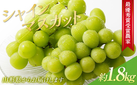 【令和8年産先行予約】 【山形県ぶどう品評会 最優秀賞受