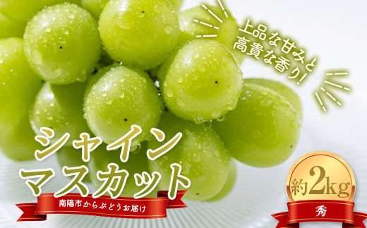 【令和8年産先行予約】 シャインマスカット 約2kg (3～4房 秀