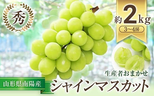 【令和8年産先行予約】 シャインマスカット 約2kg (3～4房 秀