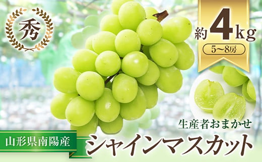 【令和8年産先行予約】 シャインマスカット 約4kg (5～8房 秀