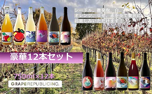 グレリパ 豪華 12本セット 750ml × 12本 『(株)グレープリパブ