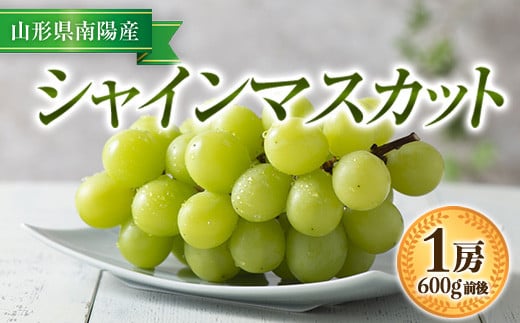 【令和8年産先行予約】 シャインマスカット 600g前後 (1房)