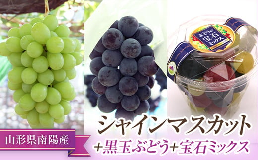 【令和8年産先行予約】 シャインマスカット ＋ 黒玉ぶどう