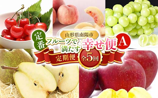 【令和8年産先行予約】 《定期便5回》 定番フルーツで満た