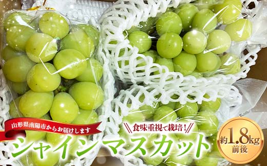 【令和8年産先行予約】 シャインマスカット 1.8kg前後 (3～4