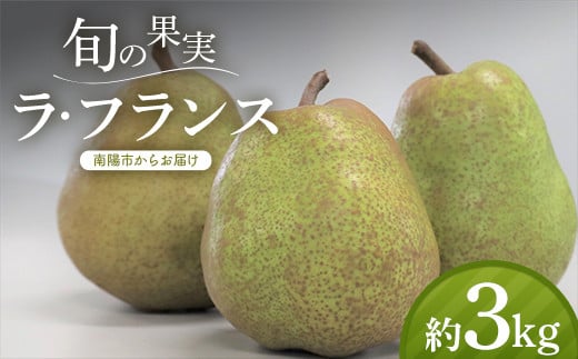 【令和7年産先行予約】 十三代目 佐藤市右衛門 ラ・フラン