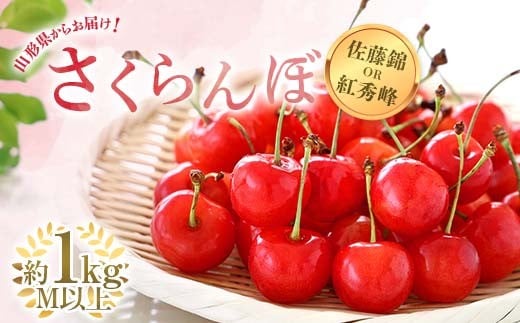 【令和8年産先行予約】 さくらんぼ 「佐藤錦または紅秀峰