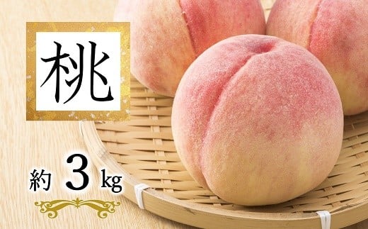 【令和8年産先行予約】 白桃「あかつき・まどか・川中島・