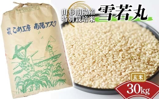 【金賞受賞農家】 令和7年産 特別栽培米 雪若丸 (玄米) 30kg