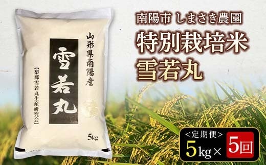 【米食味コンクール金賞受賞農園】 《定期便5回》 令和7年