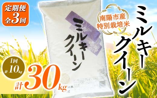 【金賞受賞農家】 《定期便3回》 令和7年産 特別栽培米 ミ