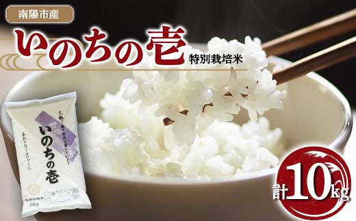 【金賞受賞農家】 令和7年産 特別栽培米 いのちの壱 計10kg (