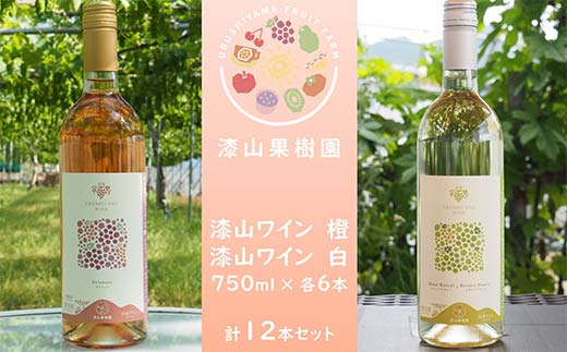 果樹園生まれの 漆山果樹園ワイン 「漆山ワイン (デラウェ