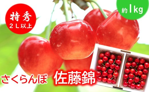 【令和8年産先行予約】 さくらんぼ 「佐藤錦」 約1kg (特秀 2