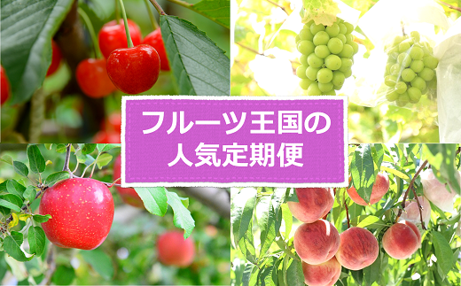 【令和8年産先行予約】 《定期便5回》 フルーツ王国の人気