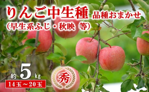 【令和8年産先行予約】 JA 中生種りんご 「早生系ふじ (涼香